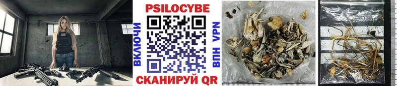 Псилоцибиновые грибы Psilocybine cubensis  Купить закладки  Сусуман 