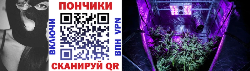Купить где  Сусуман  Бошки марихуана THC 21% 